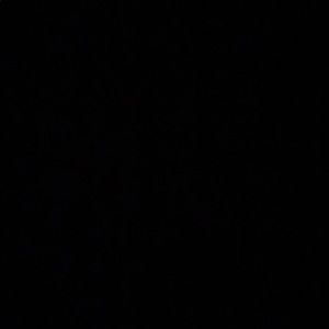 Meet your Posher, Autumn